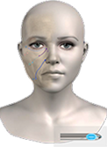 Human